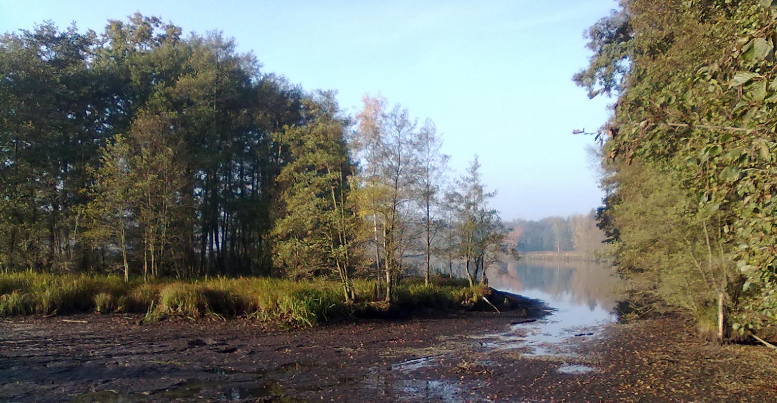Landschaft in der Biosphäre
